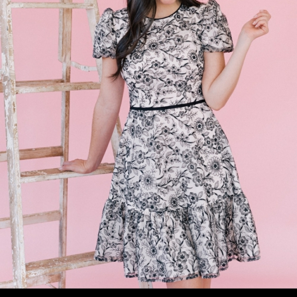 NWT Gal Meets Glam Viola Raffia Embroidered Dress Size 4 - Picture 1 of 10